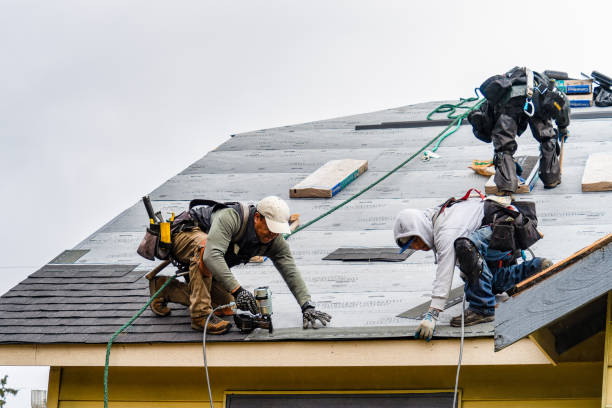 Professional Gutter Installation technician working in Hamel, MN